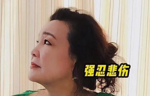 孟贺最新爆料消息视频大全,揭秘事件真相与幕后黑幕